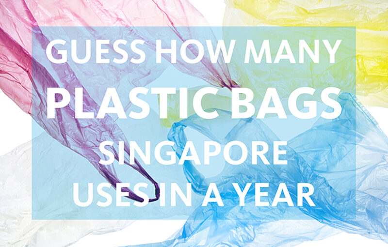 Guess How Many Plastic Bags Singapore Uses in a Year Curvature