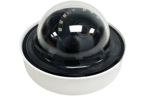 Curvature 在庫過剰品:MV22X-HW